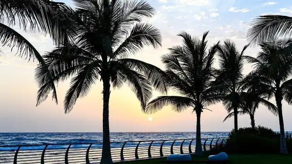 เจดดาห์: ทัวร์เมืองประวัติศาสตร์เต็มวัน