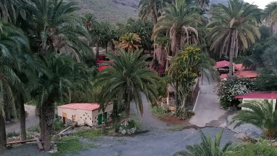 Gran Canaria: Kamelritt im Camel Safari Park