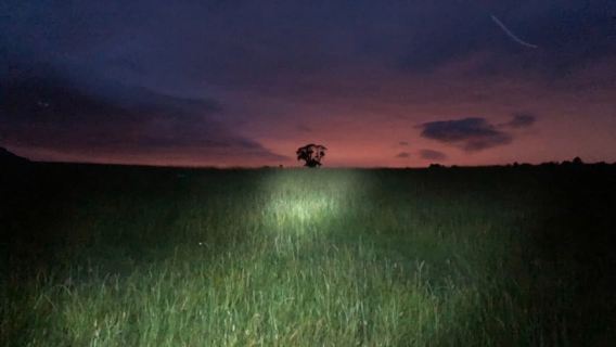 Join the Dark Side of Magical Nature