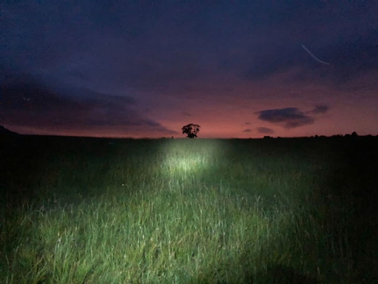 Join the Dark Side of Magical Nature