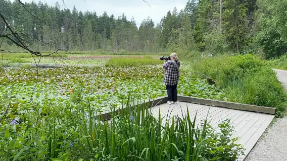 ทัวร์ชมวงจร EUC และ E-scooters ของสวนสาธารณะ Stanley Park