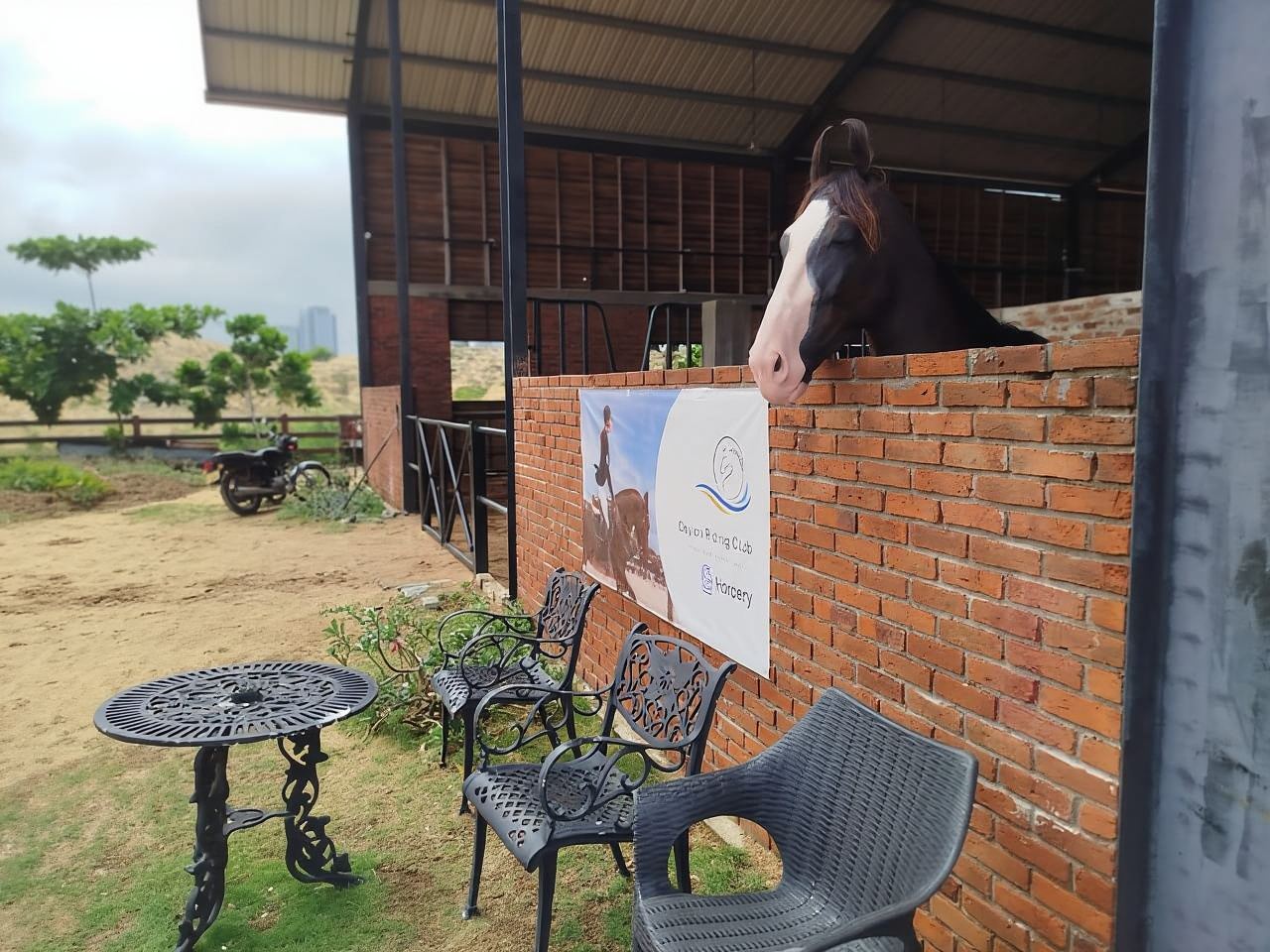 Colombo: Beach Horseback Riding Experience