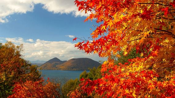 登別&洞爺湖一日遊：登別地獄谷、昭和新山、洞爺湖觀景台/可加購有珠山纜車、熊牧場門票/英日對應