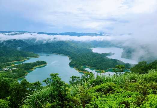 Shiding Thousand-Island Lake + Pinglin Tea Museum, New Taipei City Half-day Tour [Guaranteed afternoon departure]
