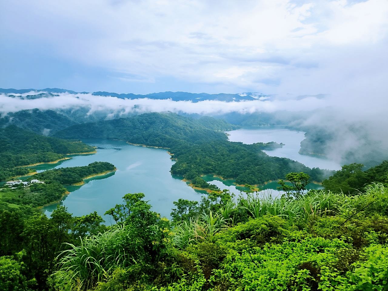 Shiding Qiandao-See + Pinglin Teemuseum Halbtagesausflug [Nachmittagsgarantie]