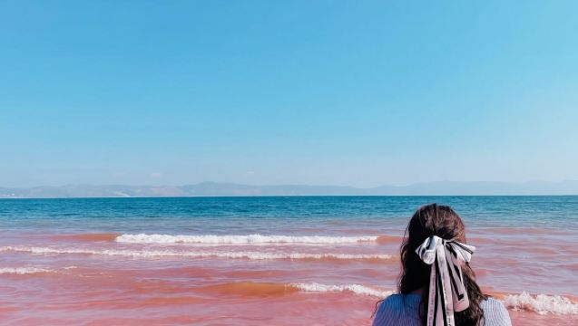 撫仙湖環湖包車一日遊：一單一團+三環內免費接駁+純玩無購物