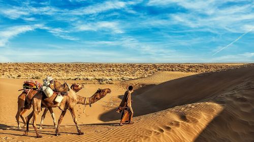 Vip Sunset Evening Safari Dubai: Camel Ride, Shows & BBQ Dinner Day Tours 1