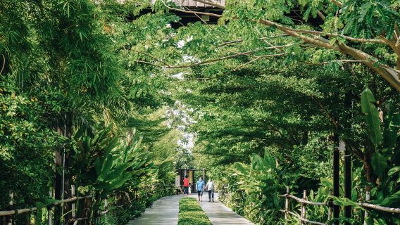 Кафе Dubua x частный тур по плавающему рынку Amphawa