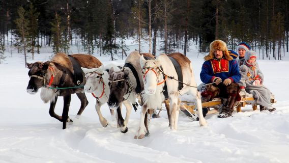 Tour 1 ngày Murmansk + Làng Sami: Trượt tuyết bằng xe tuần lộc/Thuyền chuối trên tuyết/Cầu trượt tuyết