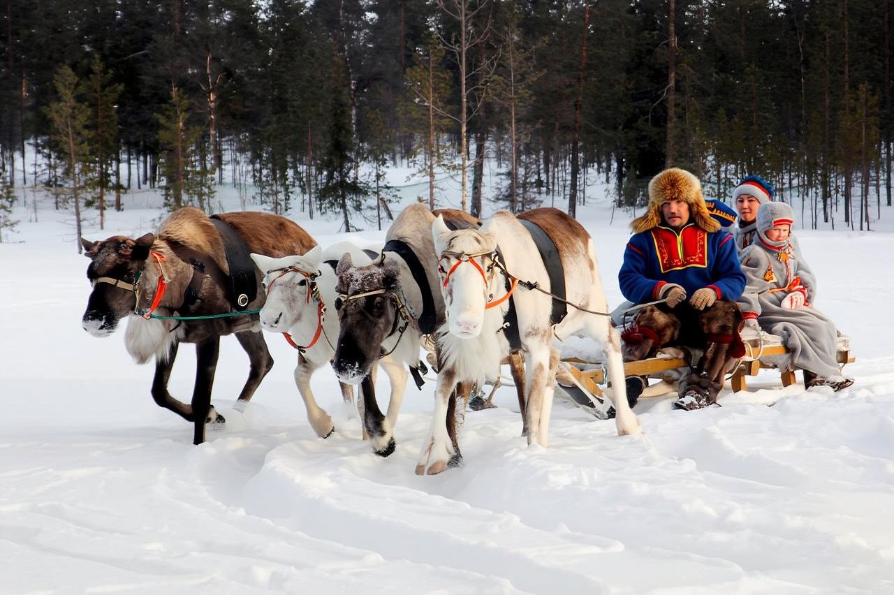 1-day tour to Murmansk + Sami Village reindeer sledding/snow banana boat/snow slide