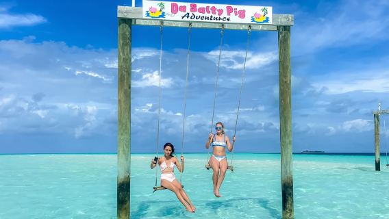 Bahamas Nassau : Excursion de 4H sur trois îles + plage aux cochons + tortues marines + déjeuner