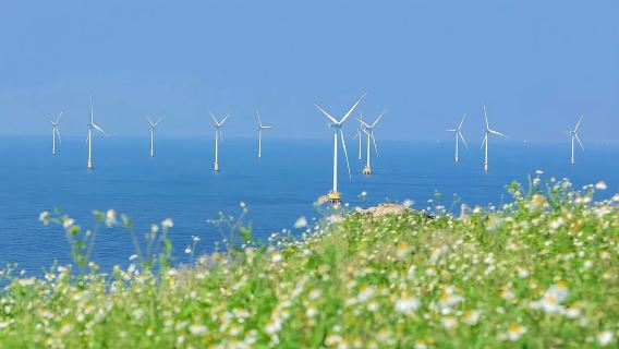 Fuzhou Pingtan Island 1-Day Tour | Small Group of 8 + Door-to-Door Pickup + Optional Admission Ticket to Houyan Island + Pure Play