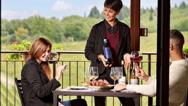 Organic Wine Tour&Tasting overlooking Chianti Classico Vineyards