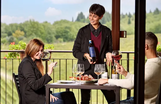 俯瞰基安蒂經典葡萄園的有機葡萄酒之旅及品嚐