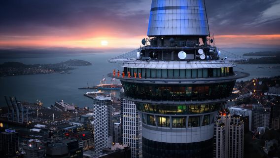 Auckland: Sky Tower SkyWalk - 192m High Edge Walk