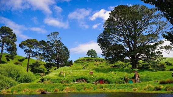 Visita guiada à Vila dos Hobbits na Nova Zelândia (inclui ingresso + traslado de ida e volta de Auckland)