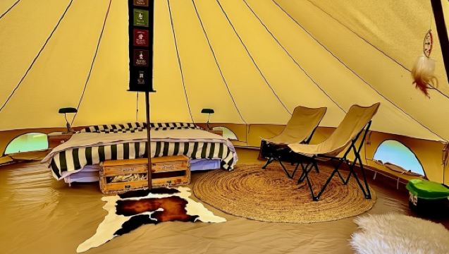 Auckland (Tawharanui): Wild Kiwi Bird Spotting Encounter