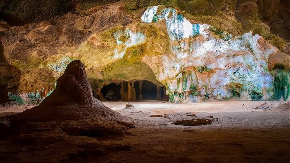 Tour en jeep privado por el Parque Nacional