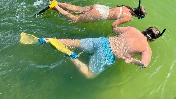 4 Hour Egmont Key Island Tour With Dolphins & Snorkeling Included