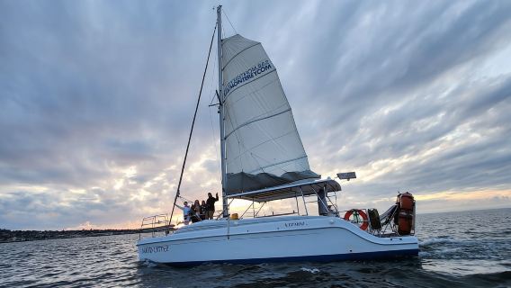 Bahía de Monterrey: Crucero en catamarán al atardecer