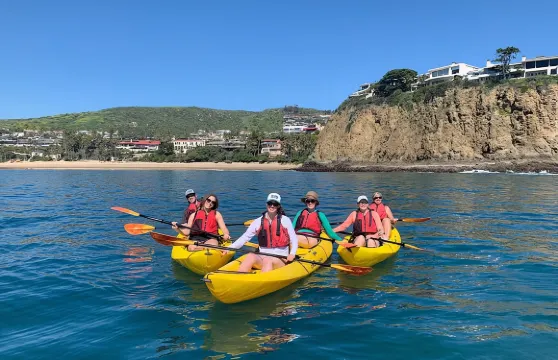 拉古納海灘獨木舟之旅（含觀賞海獅）