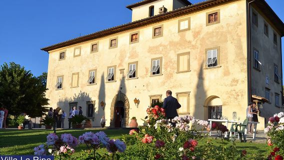 Tour through the vineyards and wine and olive oil tasting in Tuscany
