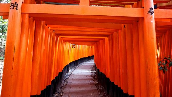 Keihan Electric Railway|Bon d'échange électronique pour le pass touristique 1 jour/24 heures Kyoto-Osaka
