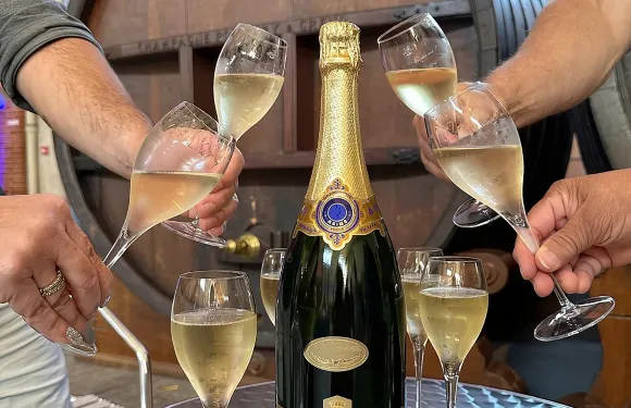 蘭斯香檳一日遊，包括9次香檳品嚐