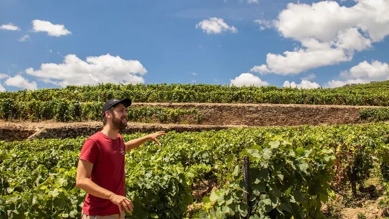Tour completo del vino nella valle del Douro con pranzo, degustazioni di vini e crociera sul fiume