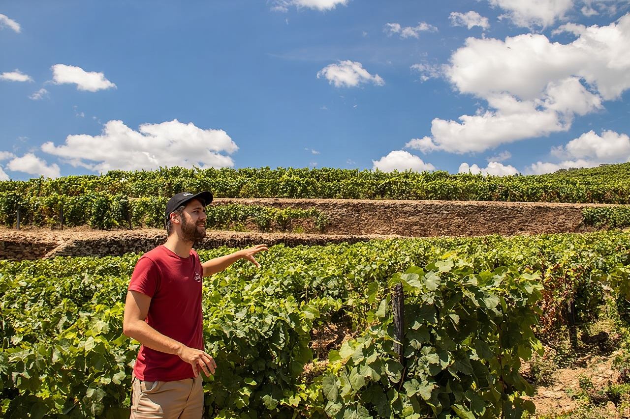 ทัวร์ไวน์ Douro Valley แบบครบวงจร พร้อมอาหารกลางวัน ชิมไวน์ และล่องเรือแม่น้ำ