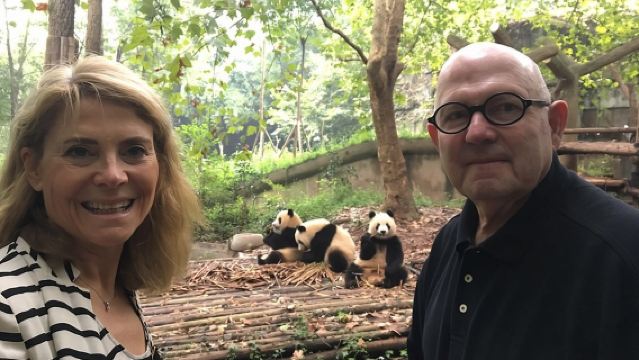 Private All-inclusive Day Tour to Chengdu Panda Breeding Center and Leshan Grand Buddha