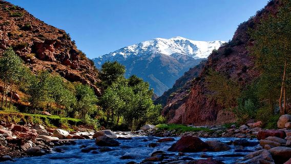 Kelompok kecil Ke Pegunungan Atlas dan lembah Ourika Dari Marrakech