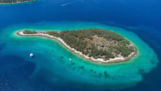 Gita in barca privata: nuota e rilassati nel blu cristallino di Sebenico