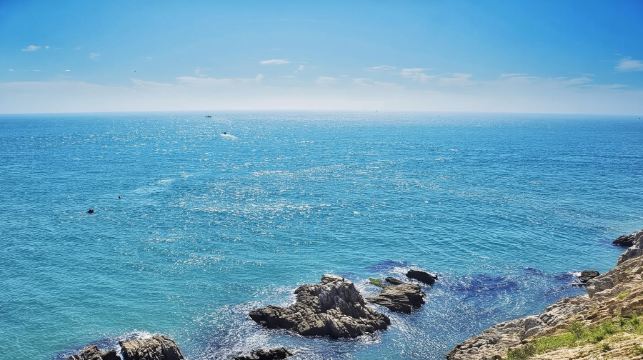 大連旅順一日遊【2-6人小團|大咖導遊講解|精選8大景點