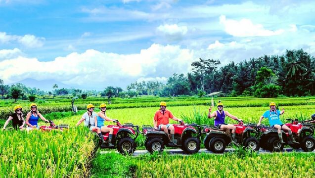 Quadbike-avontuur op Bali - Apenbos en waterval