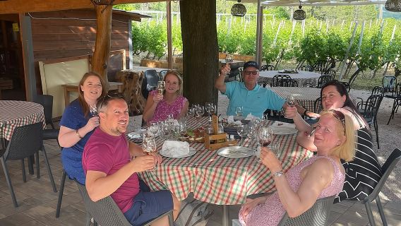 Half-Day Wine and Food Tasting from Dubrovnik