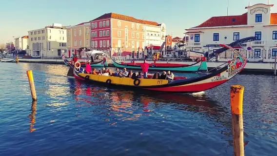 Private Cultural Tour Aveiro and Coimbra from Porto