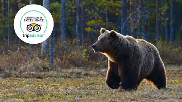 Banff Highlights & Wildlife | Award-Winning Small Group Adventure