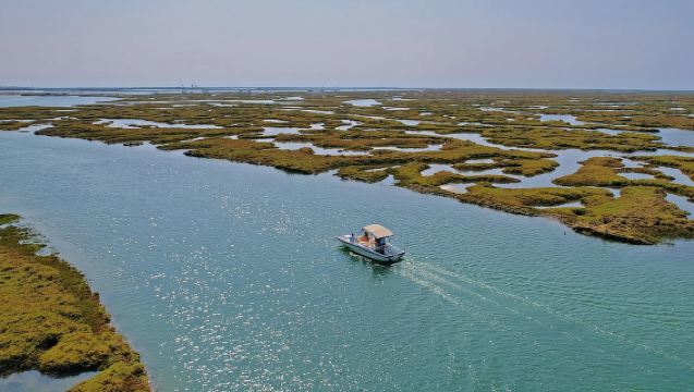 Tour ecológico en barco por la laguna de Ria Formosa desde Faro
