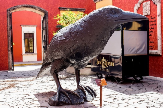 Pengalaman Hari Tequila José Cuervo dari Guadalajara