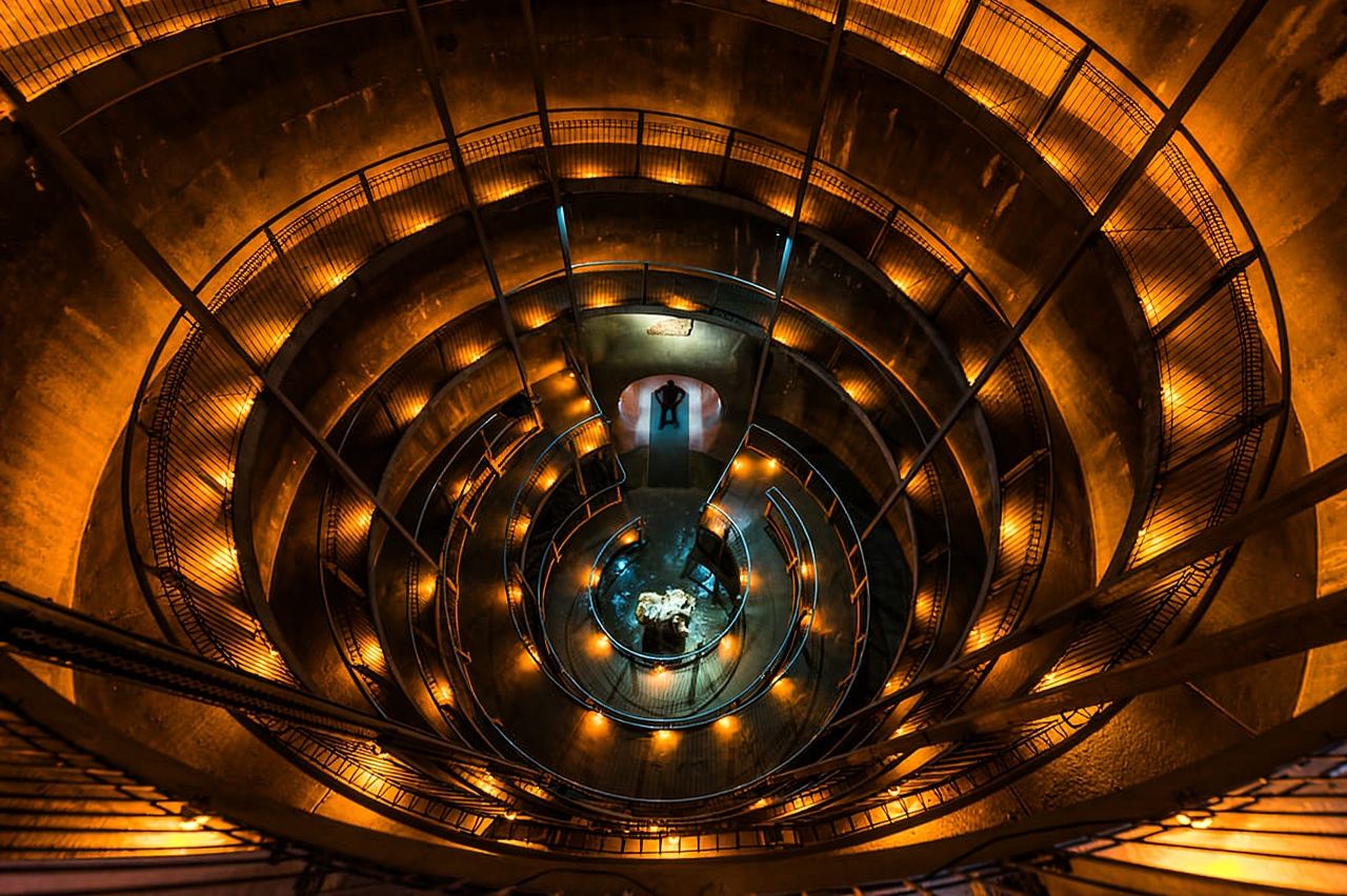 Grotte di Waitomo: tour guidato a piedi della grotta delle lucciole di Ruakuri