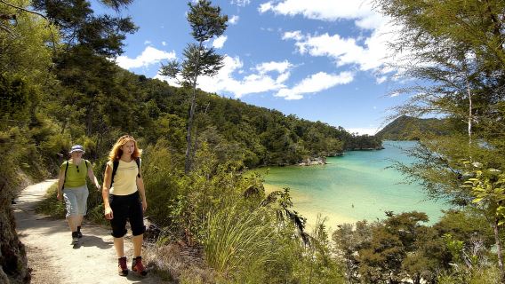 Abel Tasman National Park: Cruise, Walk & Sailing Tour