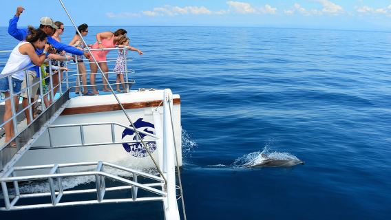 ฟลามิงโก กัวนากัสเต: ทริปเรือใบพร้อมอาหารกลางวันและเครื่องดื่ม