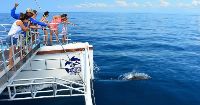 Flamingo, Guanacaste: Catamaran Trip with Lunch and Drinks