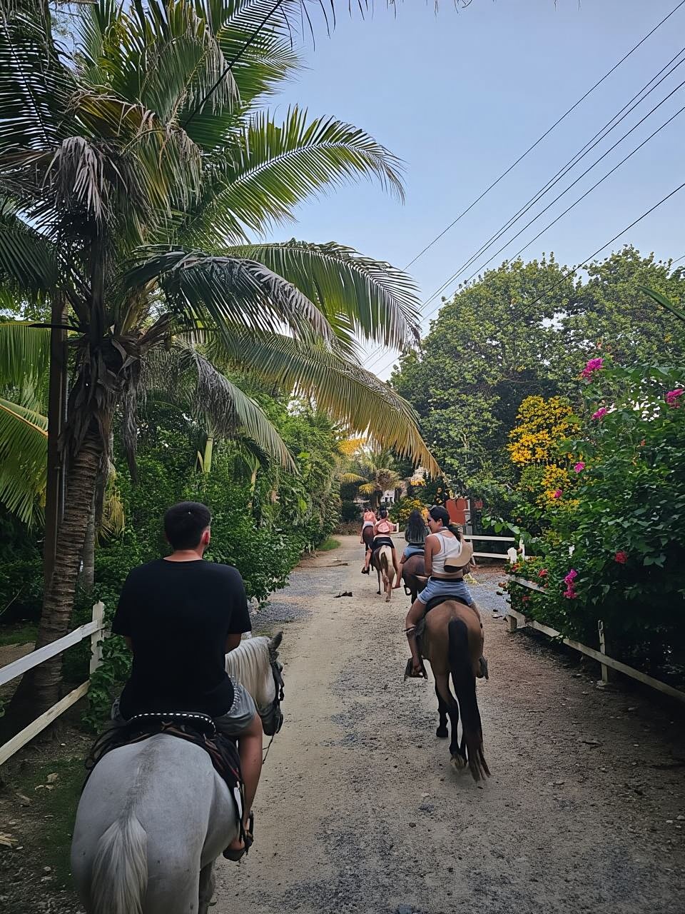 Roatan Horseback Ride Shore Excursion & West Bay Beach Break