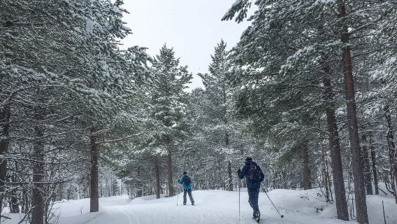 Geilo: Cross-Country Skiing Taster