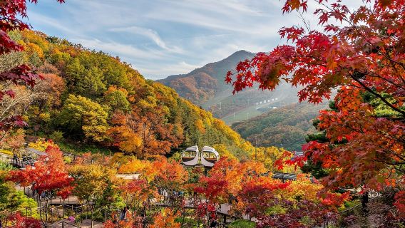 Seúl: Bosque de Hwadam, Namhansanseong y Pueblo Folclórico Coreano