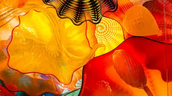 St. Petersburg: Chihuly Collection Admission Ticket
