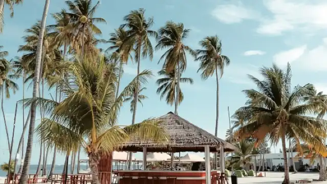 From Singapore : Private Batam Island Snorkeling and Canoe