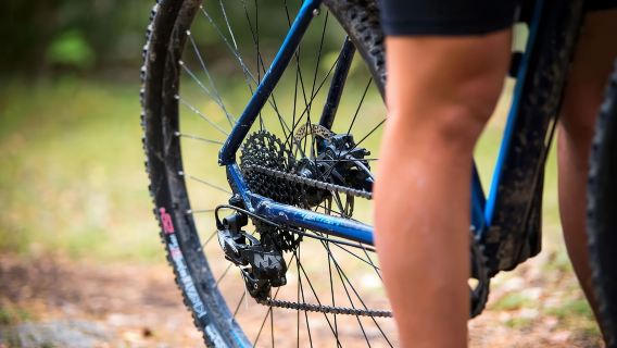 Uppsala: Mountainbike-Verleih mit Helm